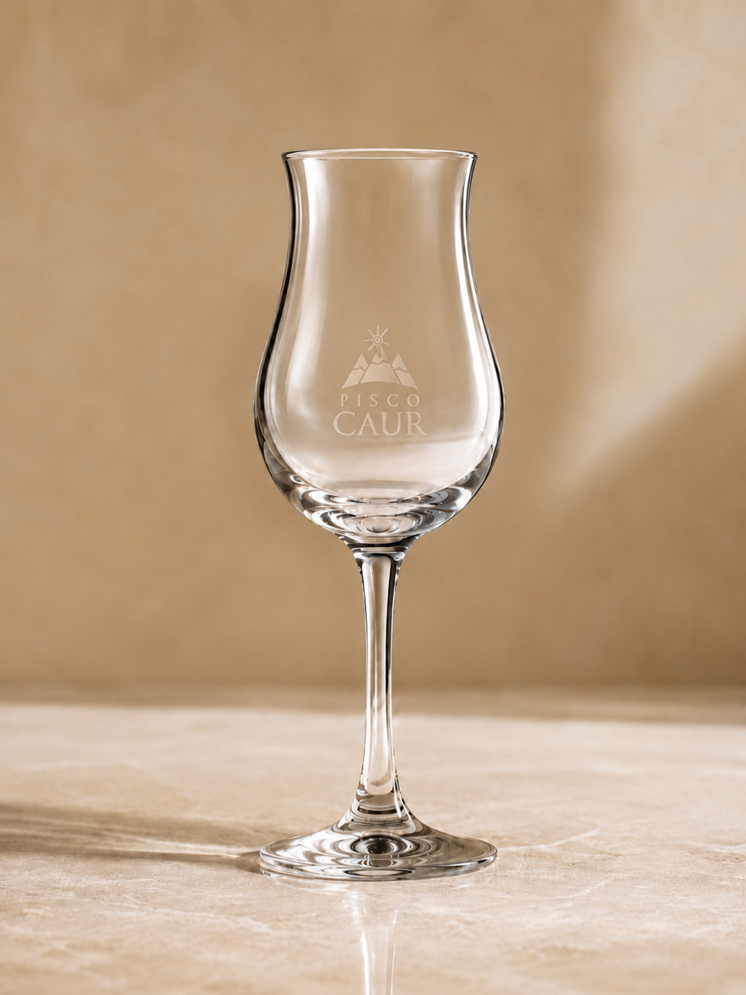 Copa de la casa