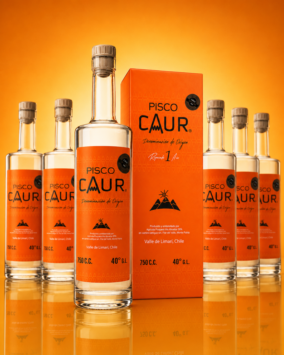 Caja x6 · Reposado