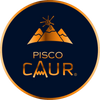pisco caur